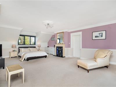 Picture 17